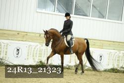 24R13_21323 thumbnail