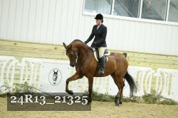 24R13_21325 thumbnail