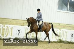 24R13_21329 thumbnail