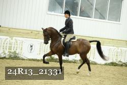 24R13_21331 thumbnail