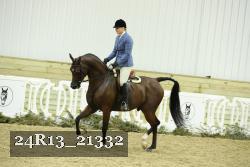 24R13_21332 thumbnail