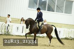 24R13_21334 thumbnail