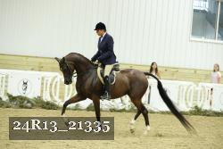 24R13_21335 thumbnail