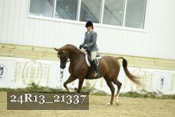 24R13_21337 thumbnail