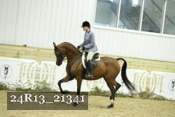 24R13_21341 thumbnail