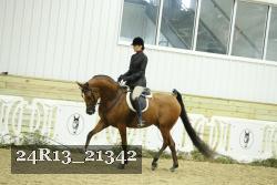 24R13_21342 thumbnail