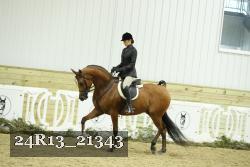 24R13_21343 thumbnail