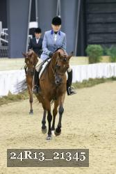 24R13_21345 thumbnail