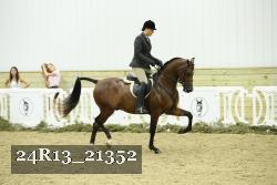 24R13_21352 thumbnail