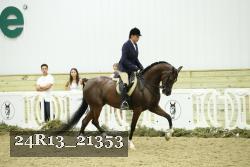 24R13_21353 thumbnail