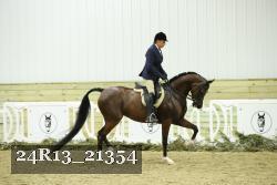 24R13_21354 thumbnail