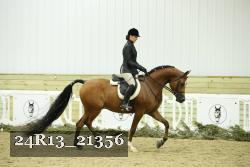 24R13_21356 thumbnail