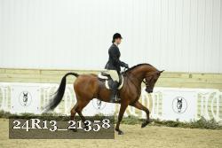 24R13_21358 thumbnail