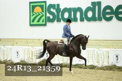24R13_21359 thumbnail
