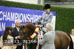 24R13_21366 thumbnail