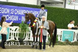 24R13_21369 thumbnail