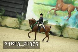 24R13_21375 thumbnail