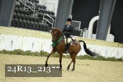 24R13_21377 thumbnail