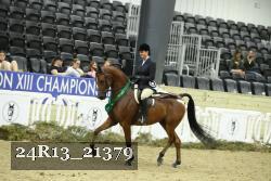 24R13_21379 thumbnail