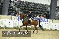 24R13_21380 thumbnail