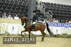 24R13_21381 thumbnail