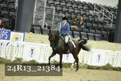 24R13_21384 thumbnail