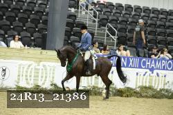 24R13_21386 thumbnail