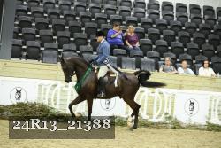 24R13_21388 thumbnail