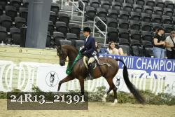24R13_21391 thumbnail