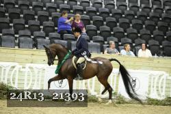 24R13_21393 thumbnail