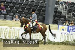 24R13_21398 thumbnail