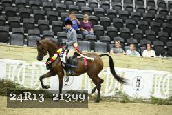 24R13_21399 thumbnail