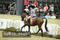 24R13_21402 thumbnail
