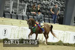 24R13_21405 thumbnail