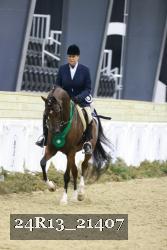 24R13_21407 thumbnail