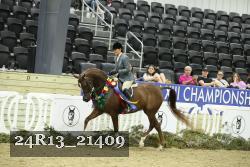 24R13_21409 thumbnail