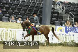 24R13_21412 thumbnail