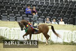 24R13_21413 thumbnail