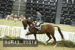 24R13_21414 thumbnail