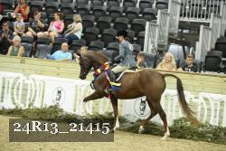 24R13_21415 thumbnail