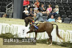 24R13_21416 thumbnail