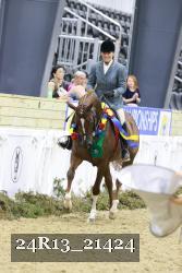 24R13_21424 thumbnail