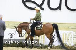24R13_21436 thumbnail