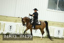 24R13_21439 thumbnail