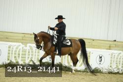 24R13_21441 thumbnail