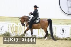 24R13_21444 thumbnail