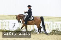 24R13_21445 thumbnail