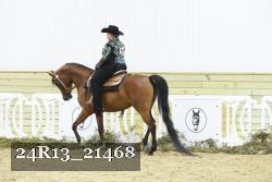 24R13_21468 thumbnail