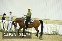 24R13_21475 thumbnail