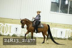 24R13_21477 thumbnail